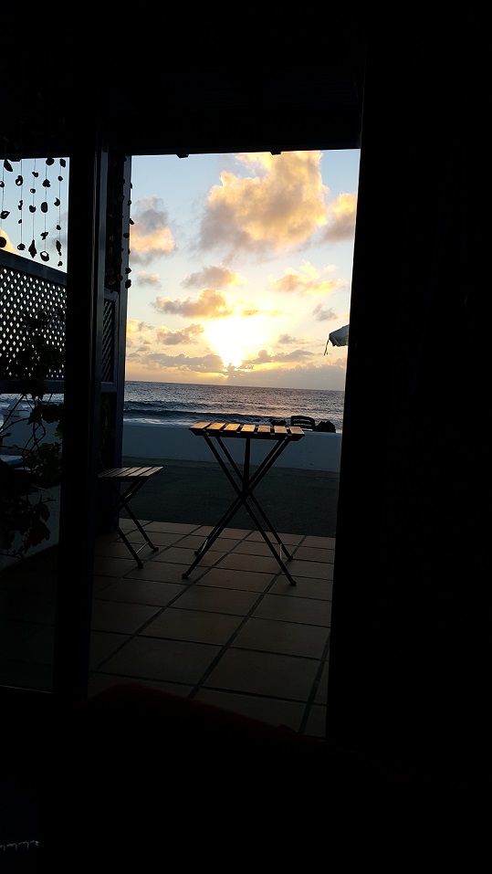 20151122_072943.jpg