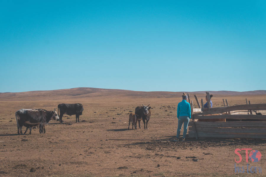 mongolia4dni-62.jpg