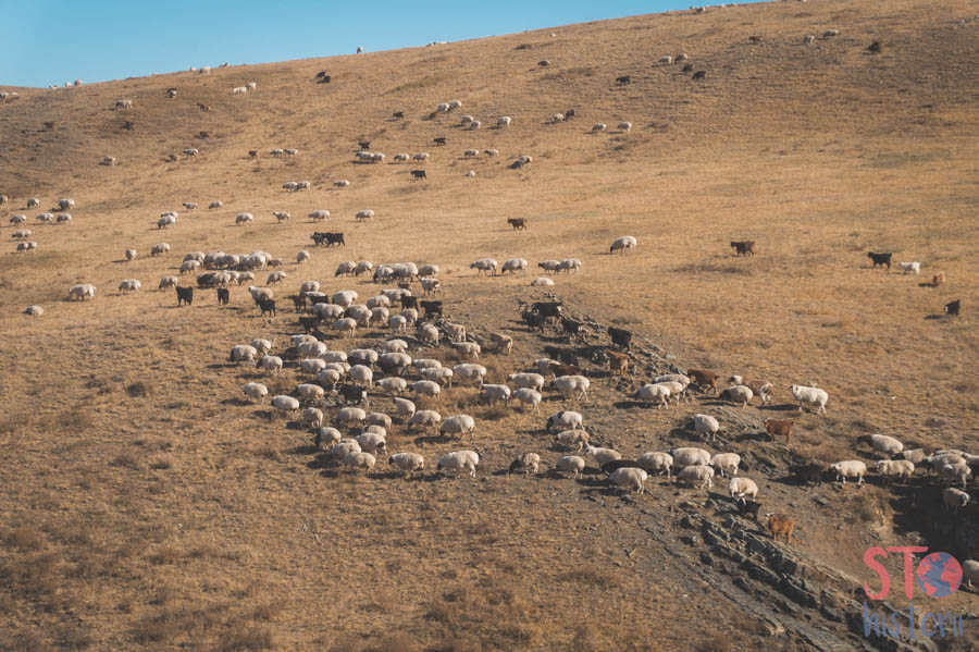mongolia4dni-65.jpg