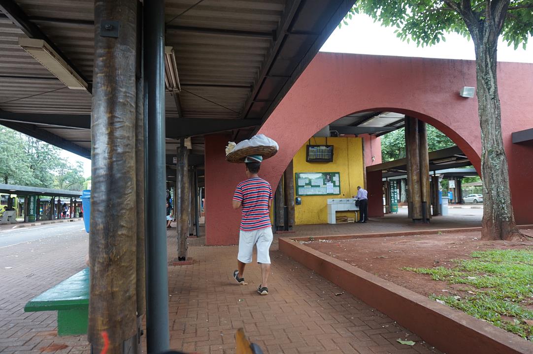 DSC03388.jpg