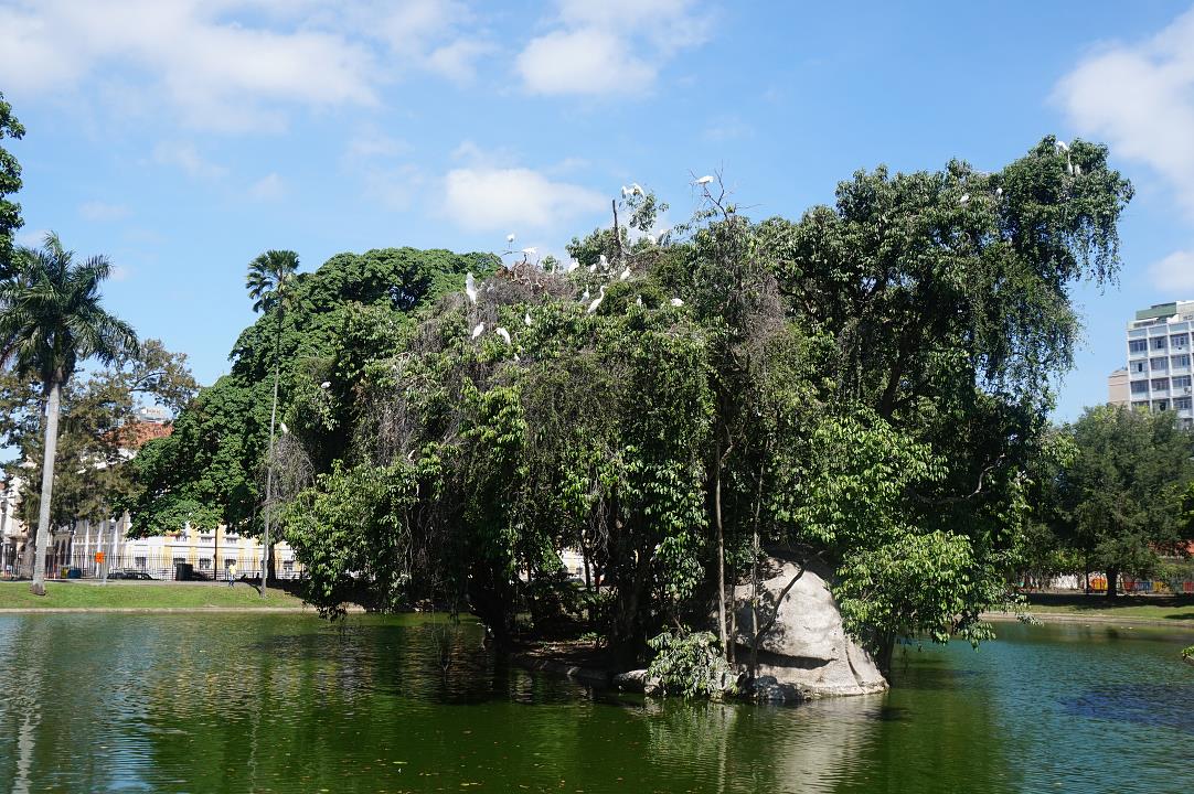 DSC03508.jpg