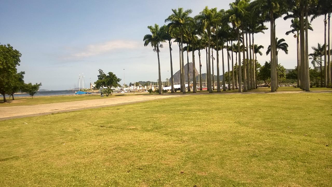 WP_20151127_047.jpg