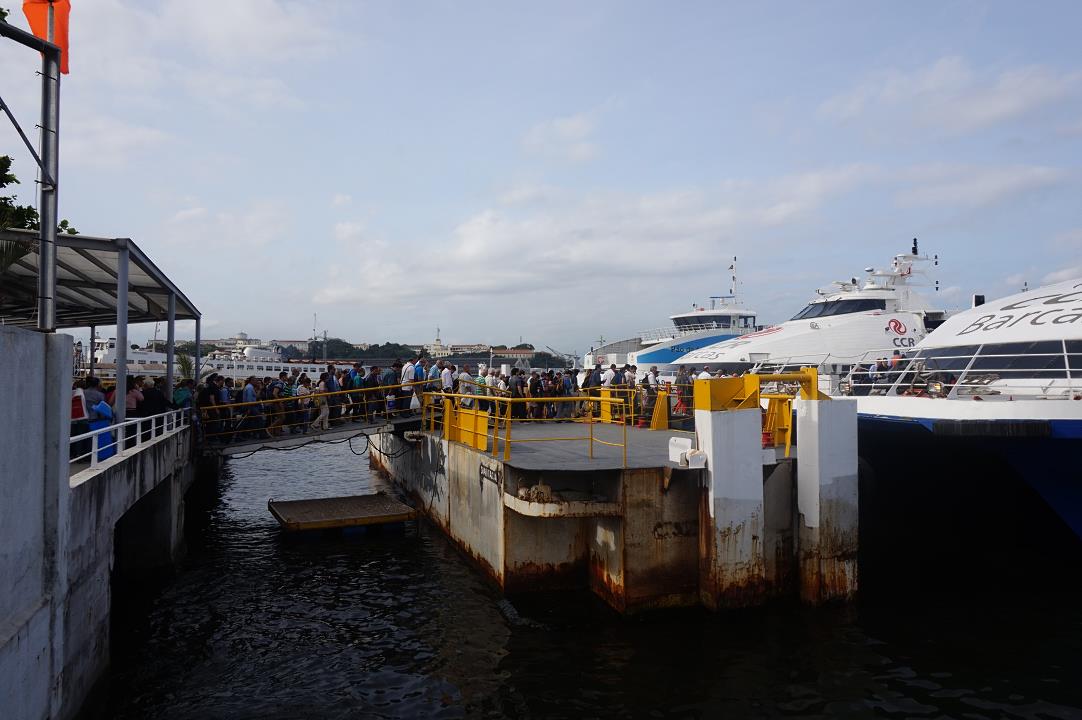 DSC03546.jpg