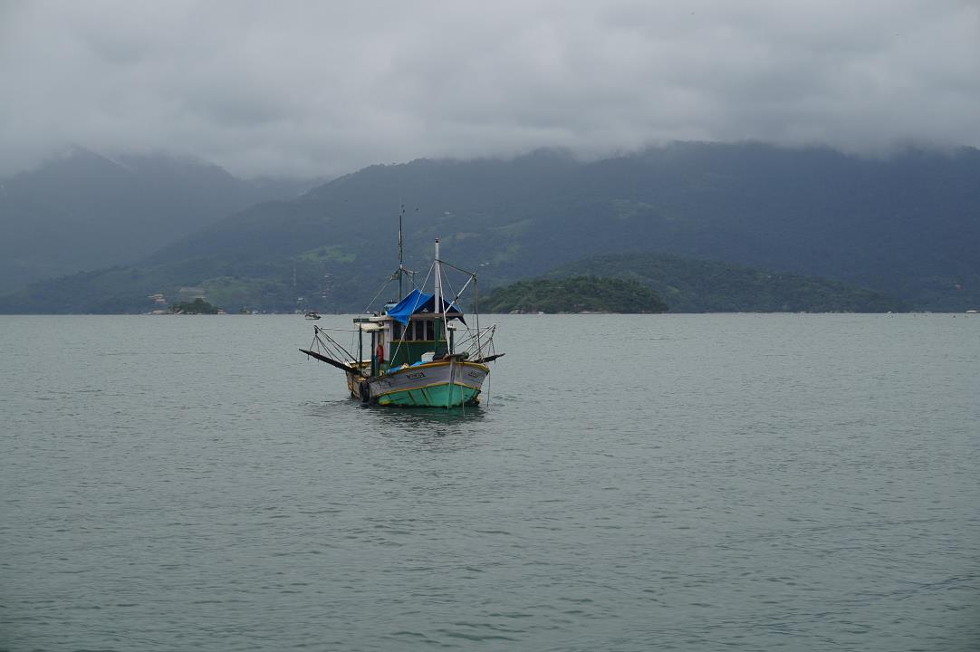 DSC03801.jpg