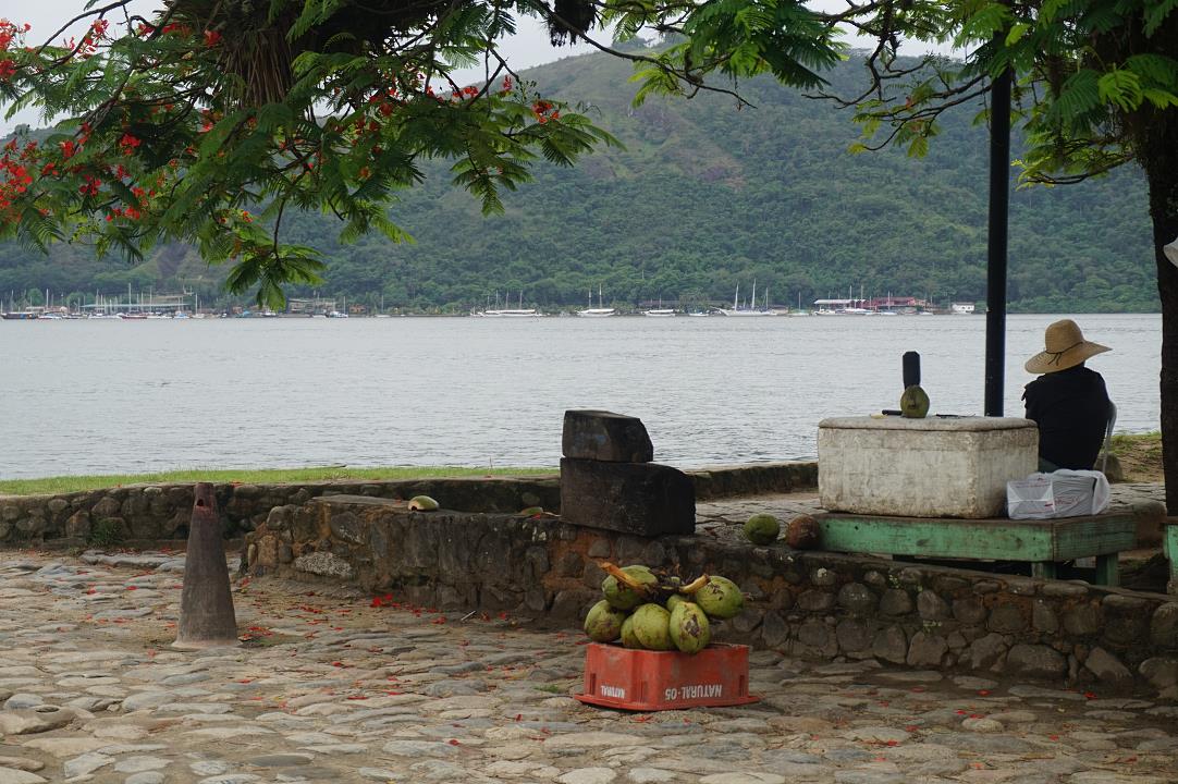 DSC03834.jpg