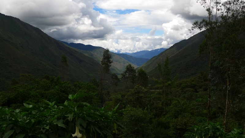 P1170563.JPG