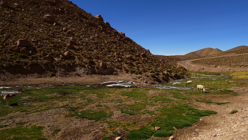 P1190688.JPG