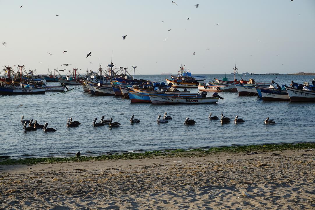 paracas1.jpg