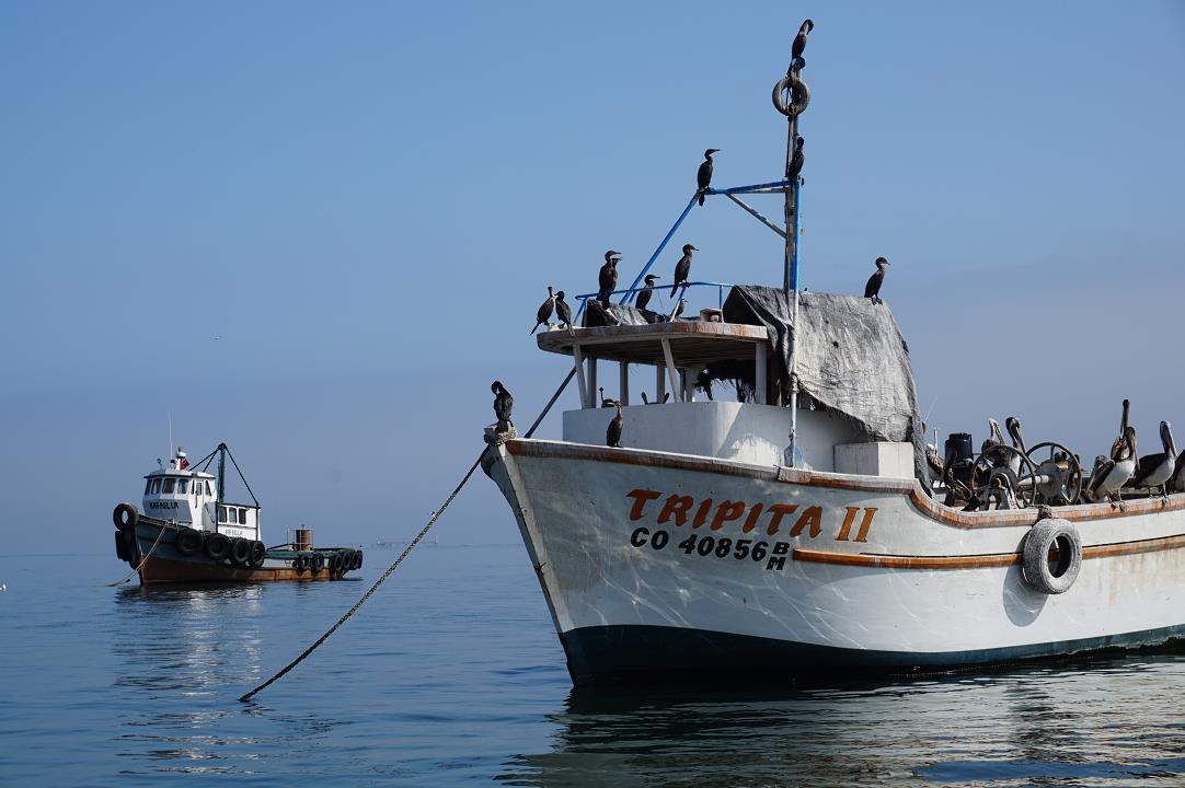 paracas0.jpg