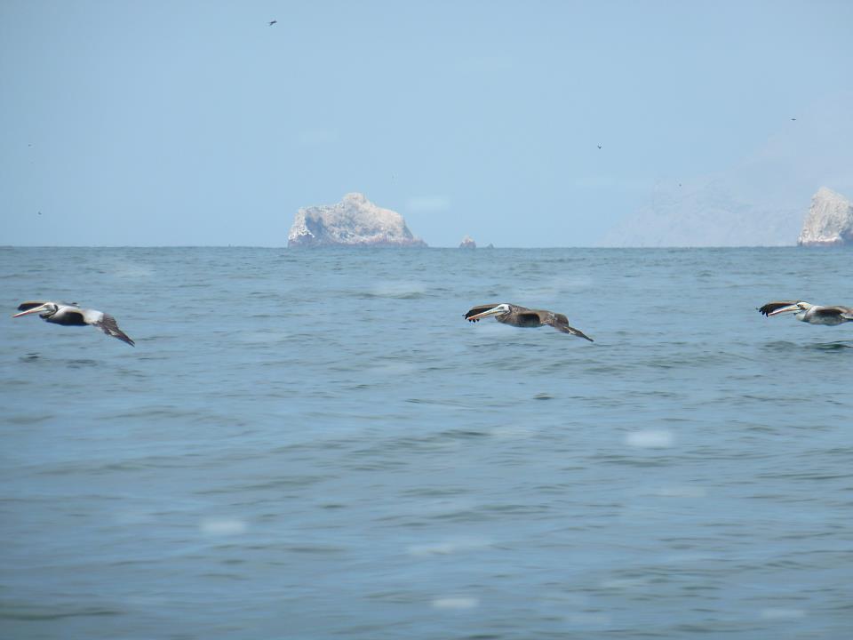 Islas4.jpg