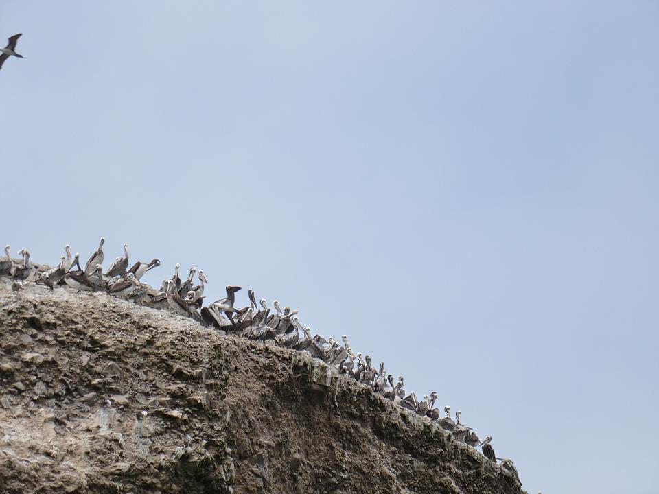 Islas5.jpg