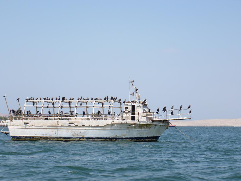 islas7.jpg
