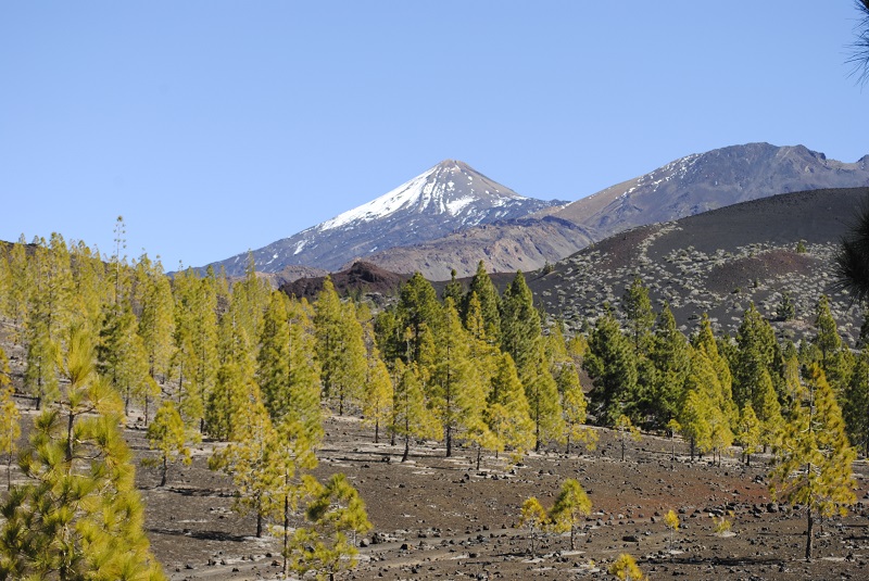 teide.JPG