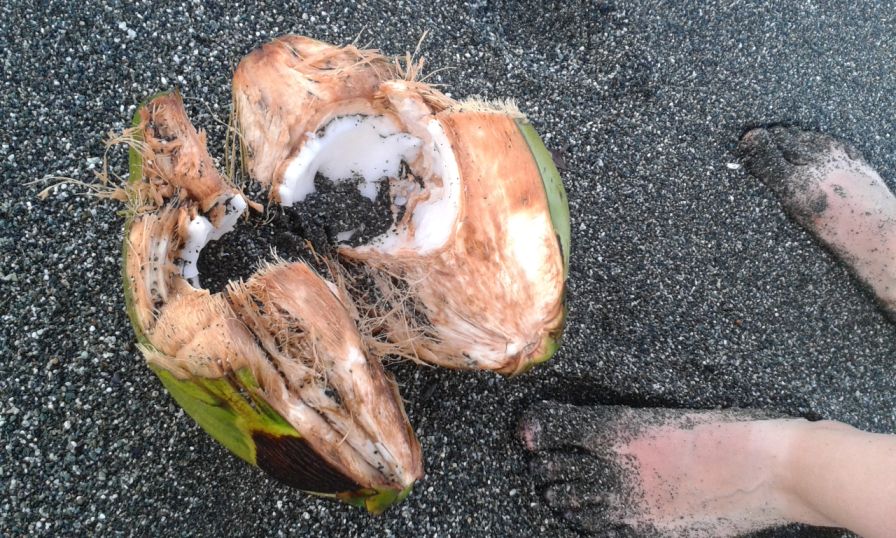 Baracoa_Coconut.jpg