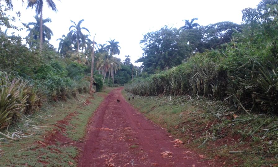 Baracoa_Fuente.jpg