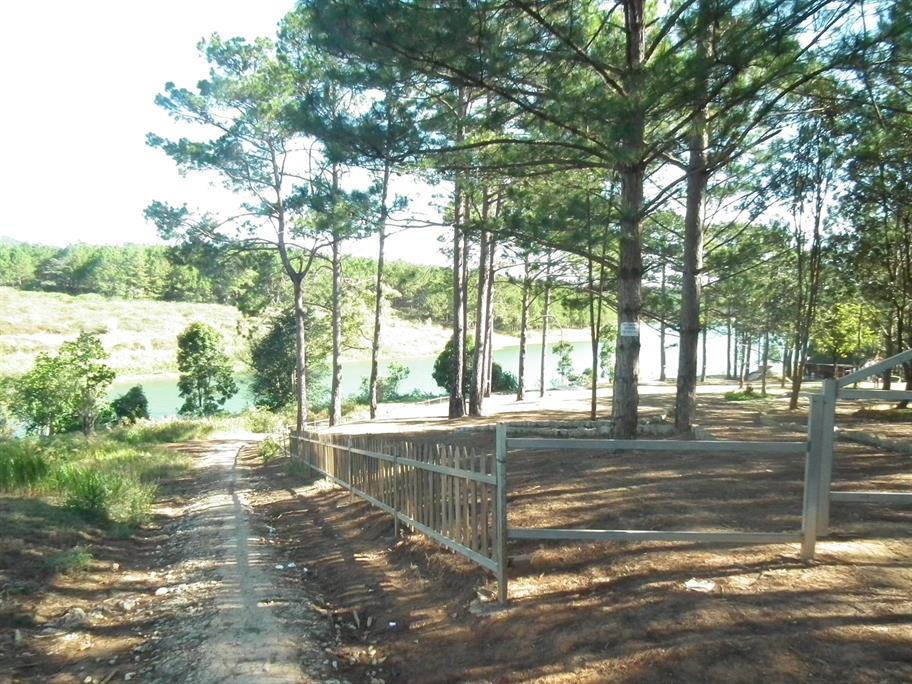 DSCF1889.jpg