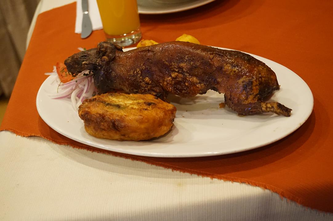 cuy.jpg