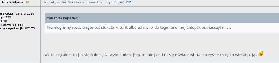 Przechwytywanie.JPG
