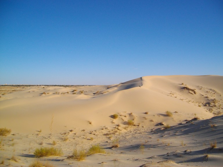 IMGP0629.JPG