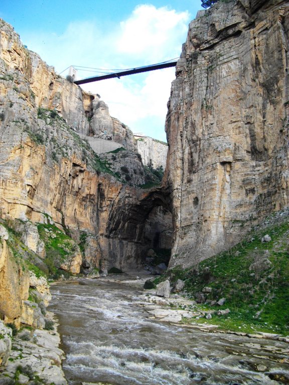 IMGP0803.JPG