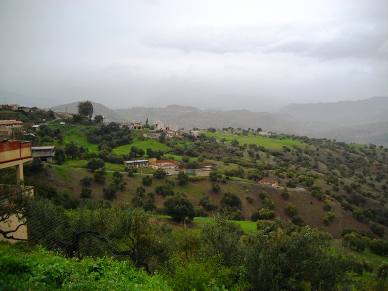 IMGP0990.JPG