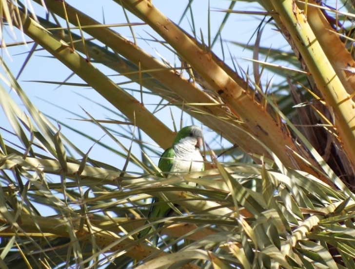 DSCF5612.JPG