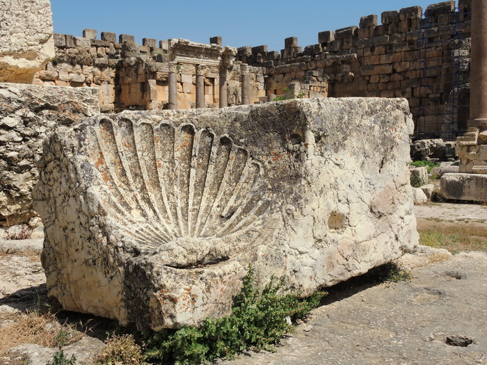 DSCN5324muszla.JPG