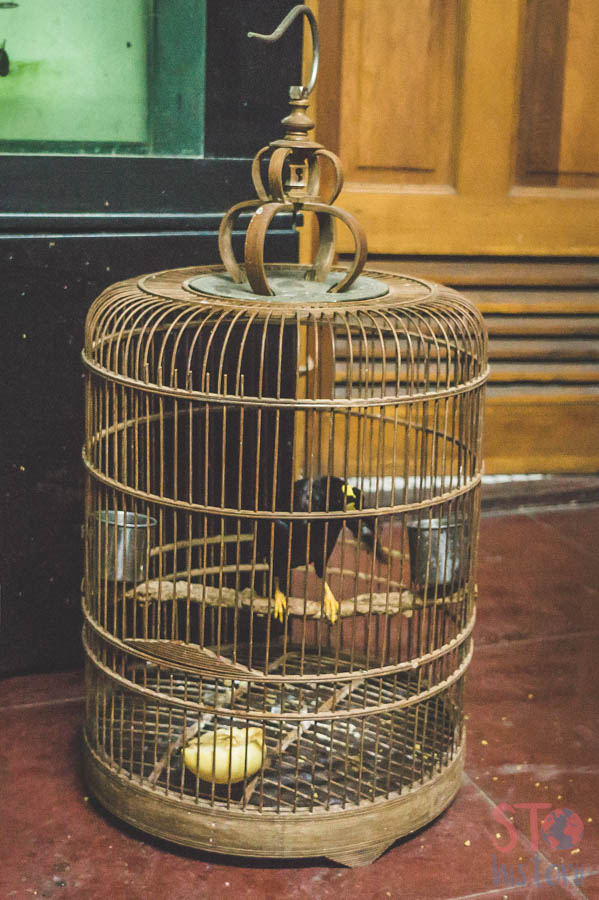 pekinn-39.jpg