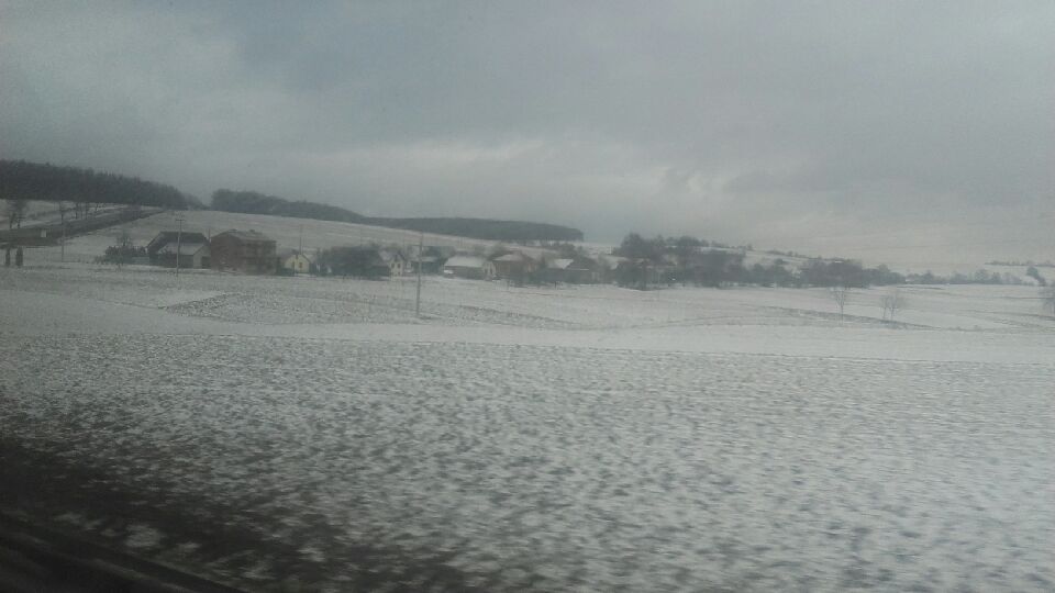 20160131_104051.jpeg