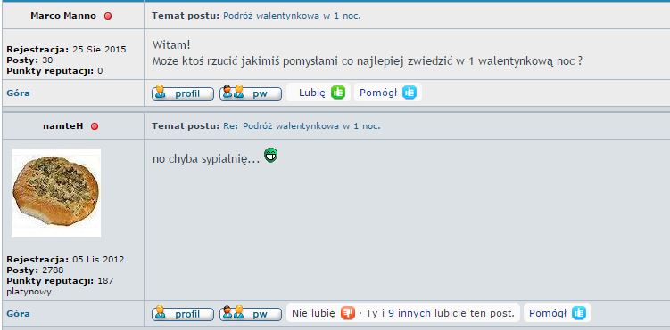 Przechwytywanie.JPG