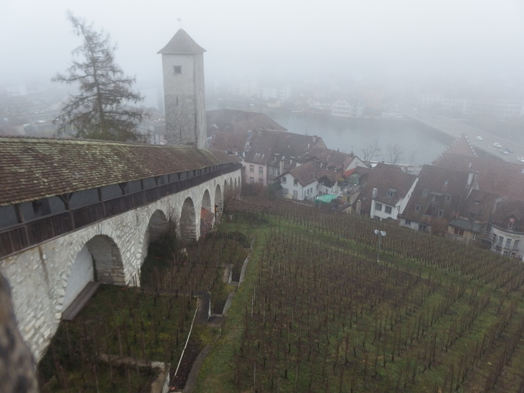 Festung.jpeg