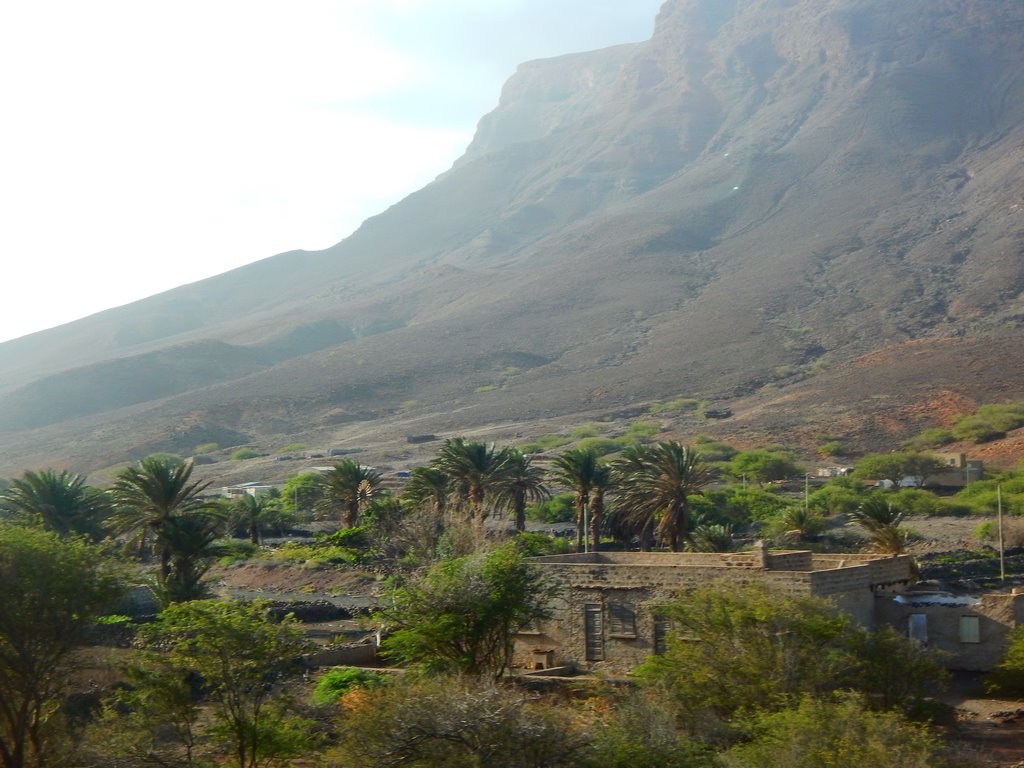 DSCN3310.JPG