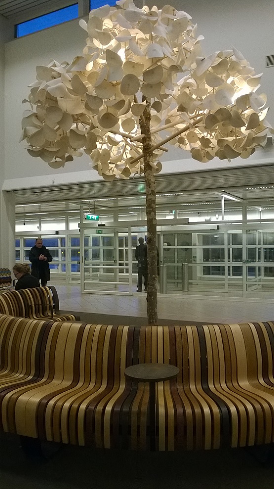 WP_20151114_002.jpg