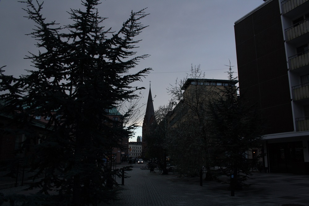 IMG_3256.JPG