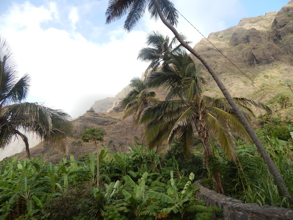 DSCN3672.JPG