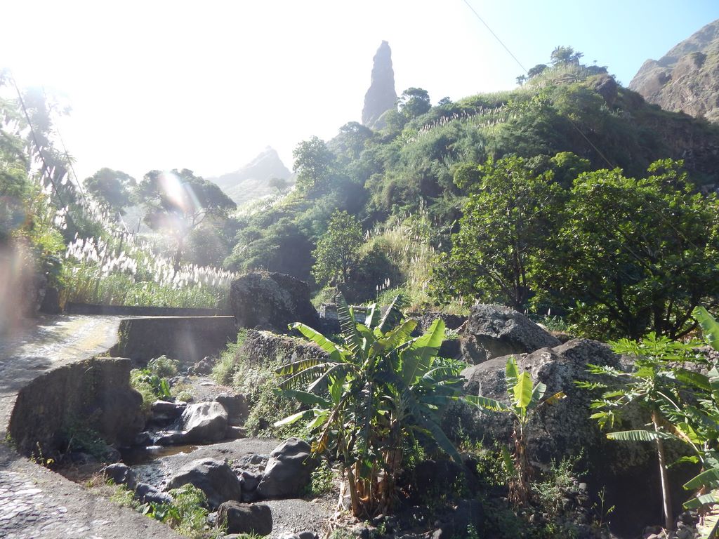 DSCN3731.JPG