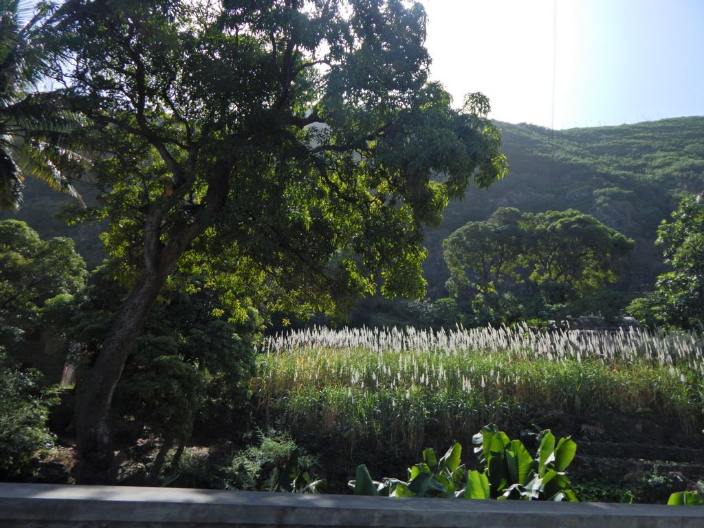 DSCN3765.JPG