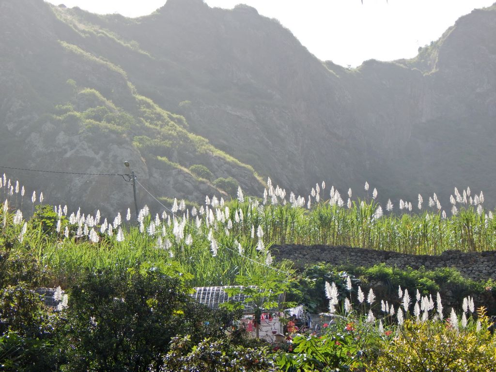 DSCN3838.JPG