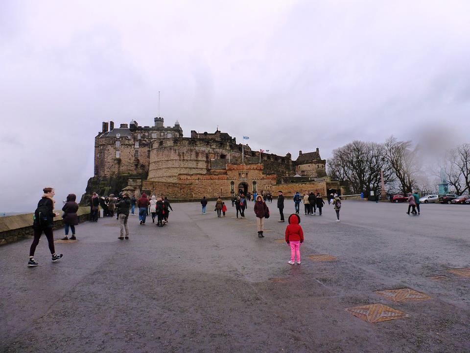 P1040774.jpg