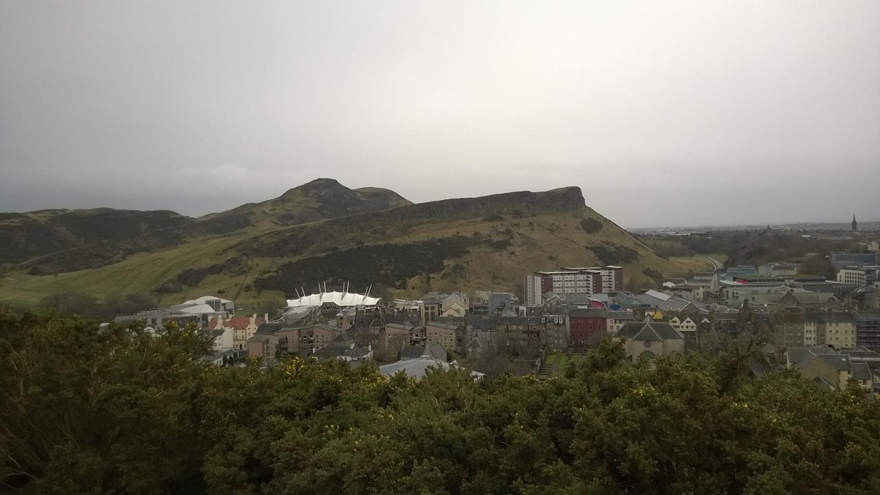 WP_20160219_011.jpg