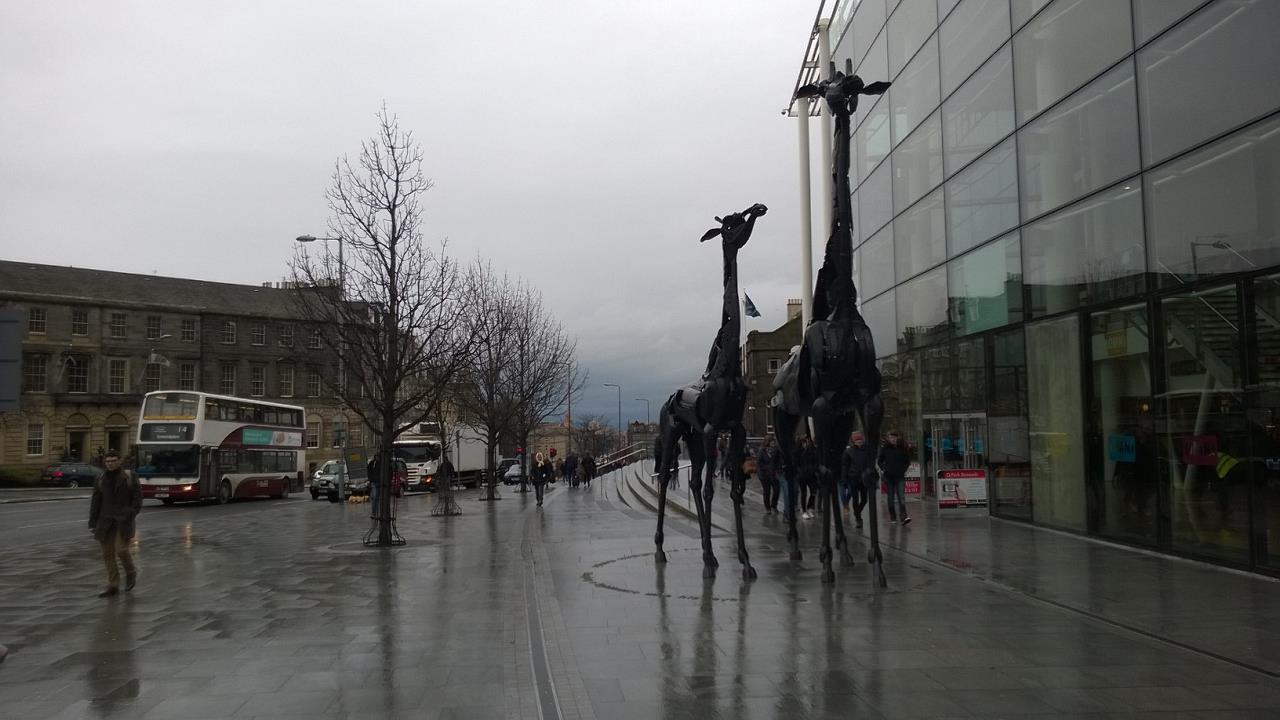 WP_20160219_031.jpg