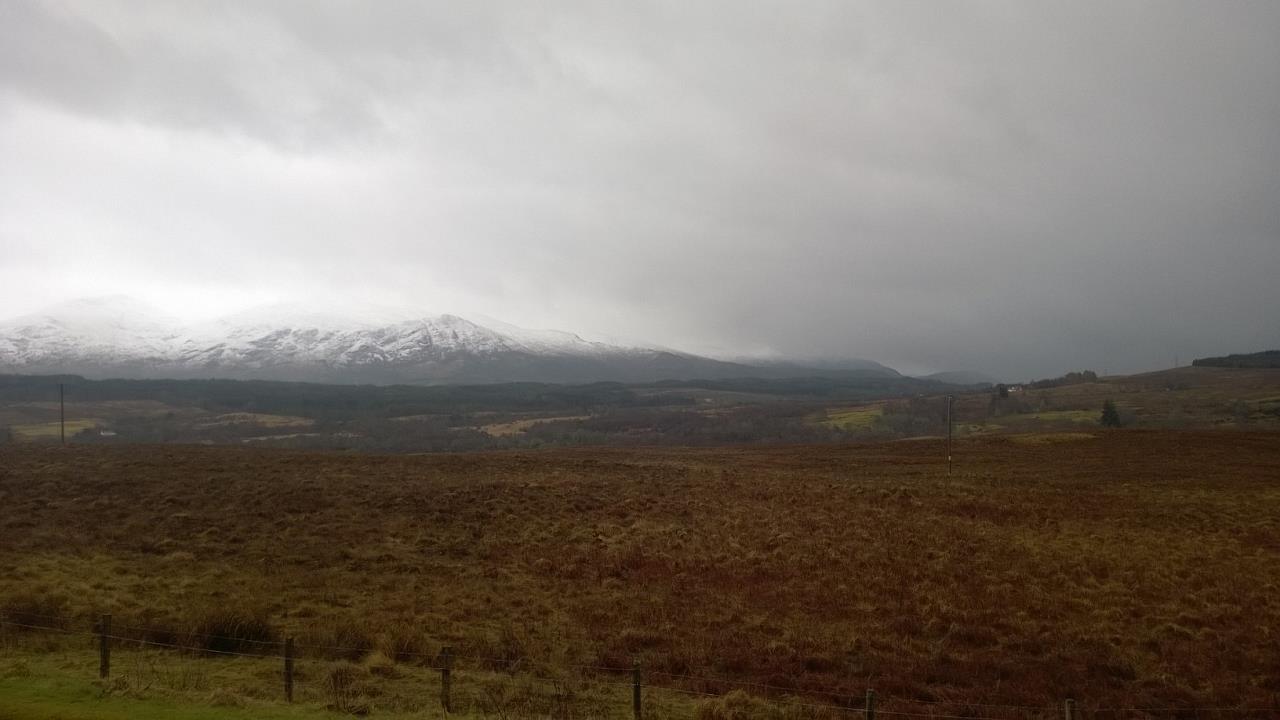 WP_20160220_049.jpg