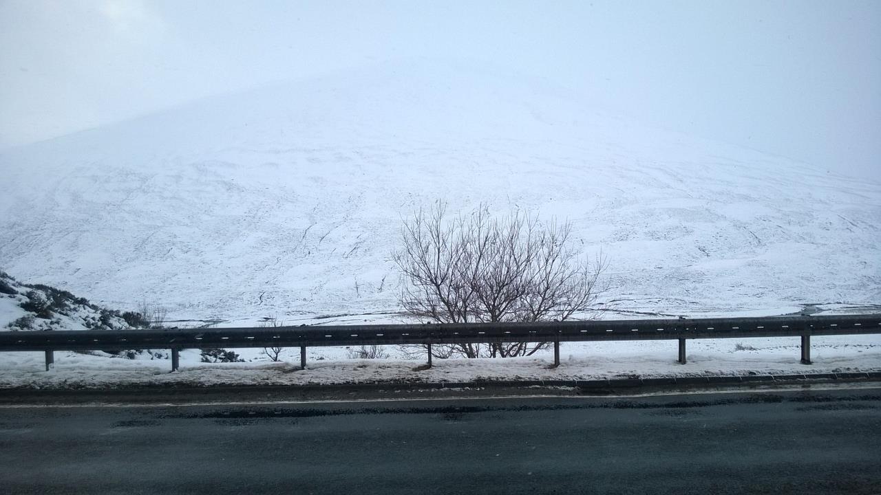 WP_20160220_087.jpg