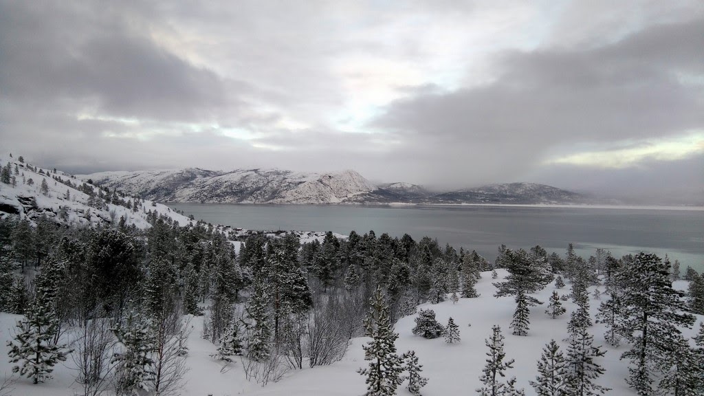 DSC_0520.jpg
