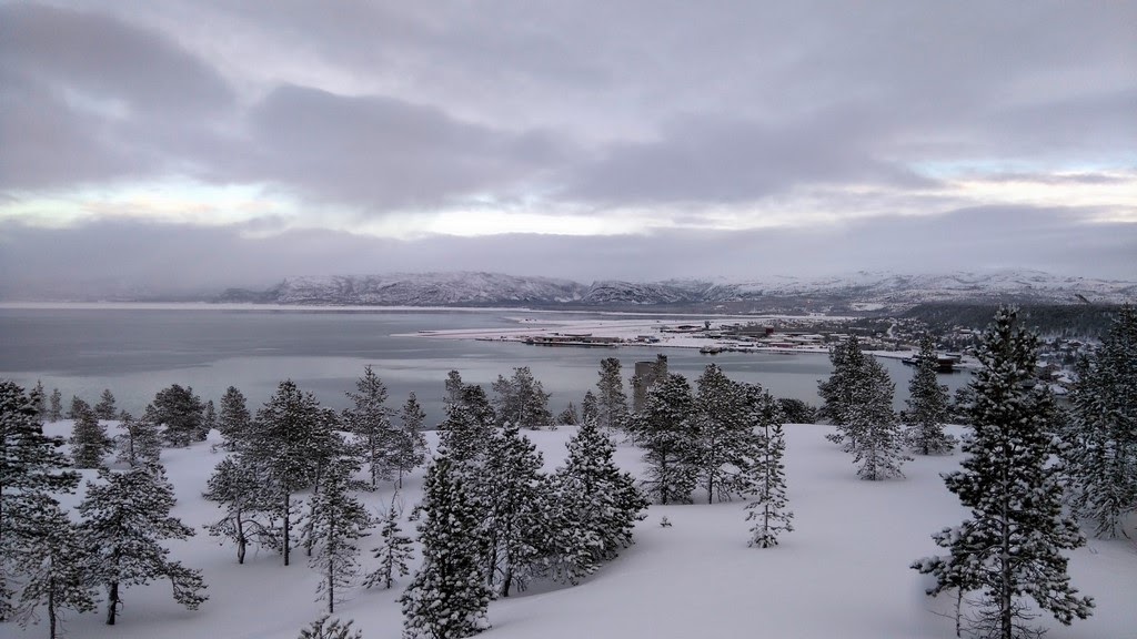 DSC_0521.jpg