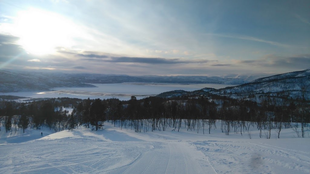 DSC_0533.jpg