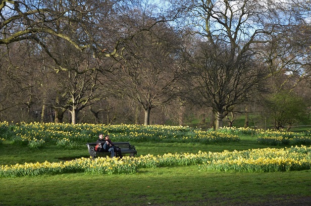 DSC_0017.JPG