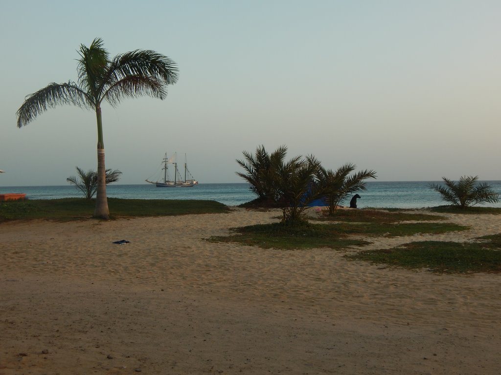 DSCN3932.JPG