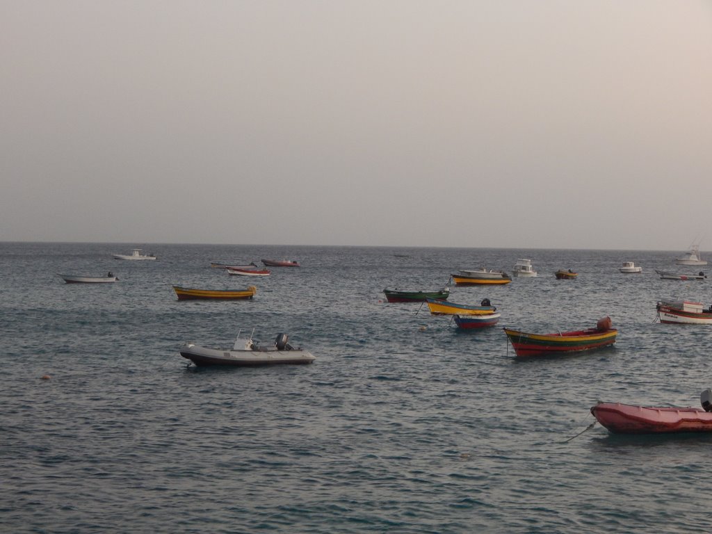 DSCN3973.JPG