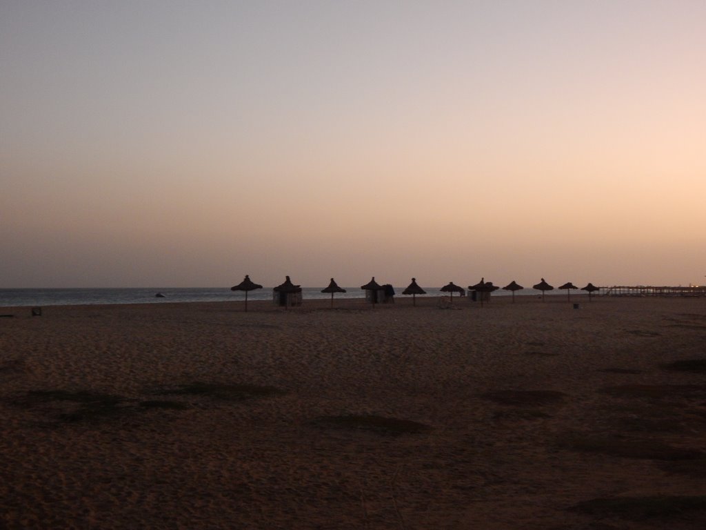 DSCN3974.JPG